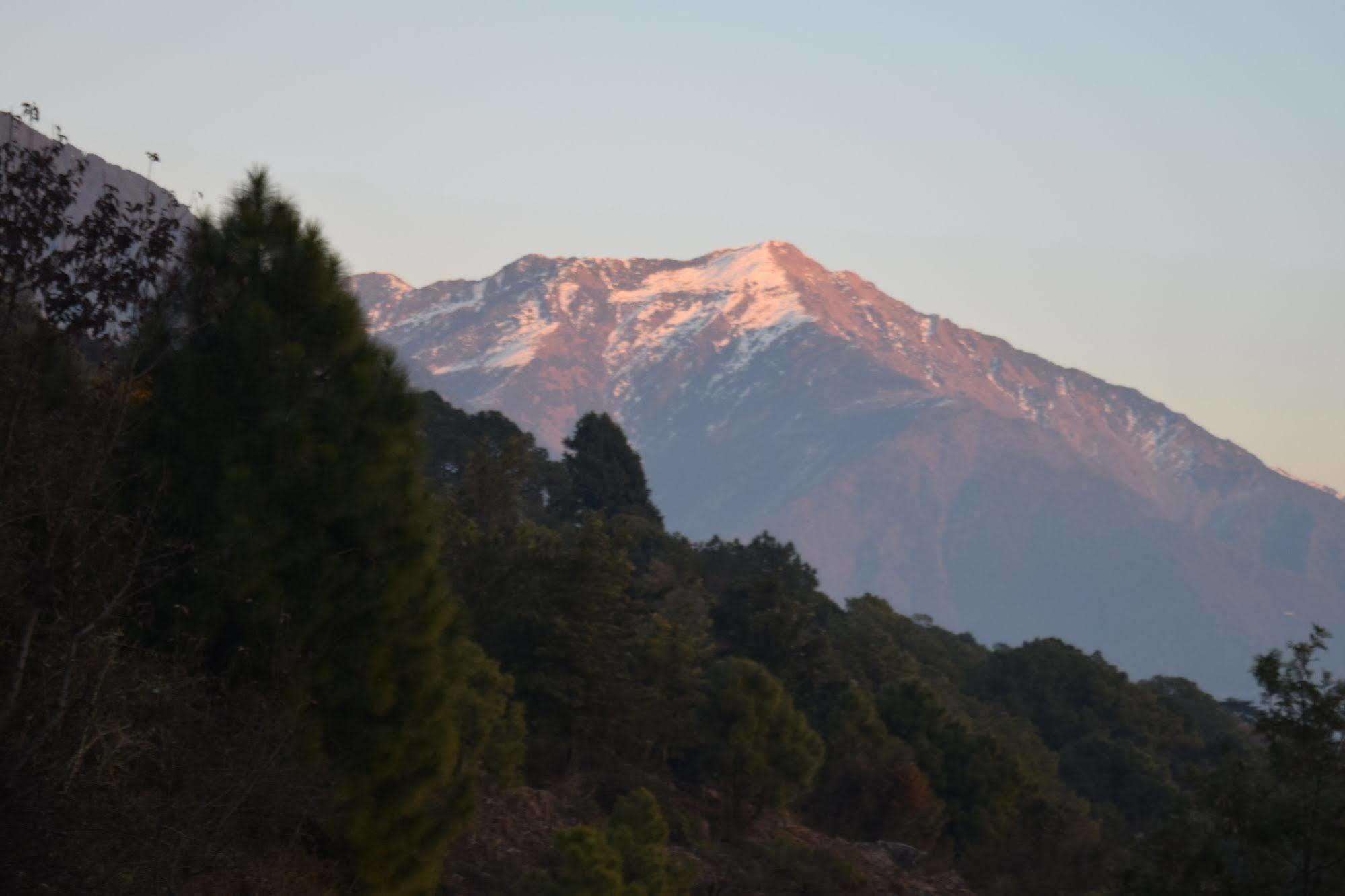 The Exotica Hotel Dharamshala Exterior photo